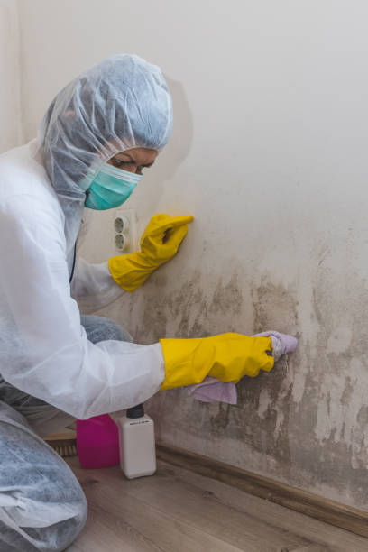 Best Environmental Consulting for Mold Prevention  in Centerville, TN