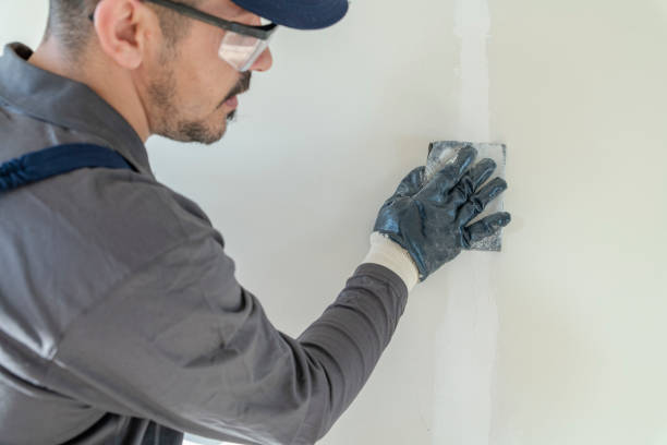 Trusted Centerville, TN Mold Removal Experts