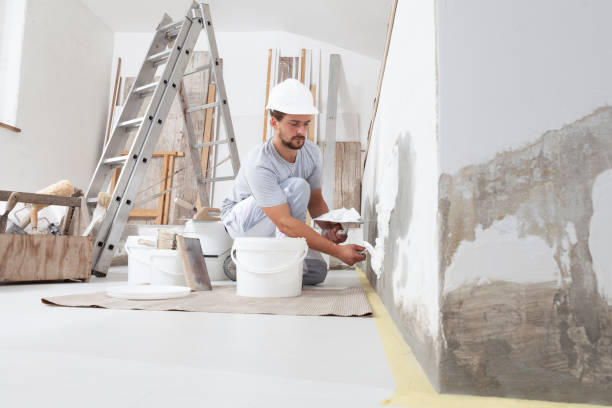 Best Mold Damage Restoration  in Centerville, TN