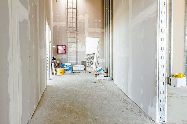 Best Black Mold Removal  in Centerville, TN