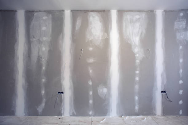 Best Biohazard Mold Removal  in Centerville, TN